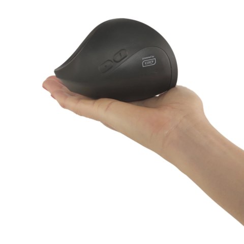 Kiiroo Pulse Solo Interactive - Intymna Maszyna z Interaktywnym Sterowaniem Kiiroo Pulse Solo Interactive - Intymna Maszyna z Interaktywnym Sterowaniem