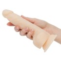 Naked Addiction Thrusting Dong 23 cm Vanilla - pulsujący model z pilotem