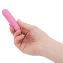 PowerBullet Essential Pink - Kompaktowy model z etui i 9 trybami