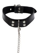 Obroża z ekoskóry ze smyczą Taboom Elegant Collar and Chain Leash Black