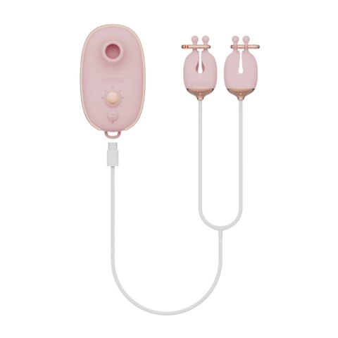 Qingnan Quartet Set Pink Qingnan Quartet Set Pink