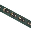 Obroża ze smyczą Mossy Chic Leather Collar with Leash Liebe Seele