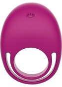 Put A RIng On It CRing Remote Fuchsia