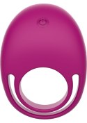 Put A RIng On It CRing Remote Fuchsia