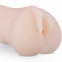 Amelia Harper model anatomiczny z teksturą wewnętrzną TPR 16 cm