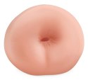 Pipedream PET ręczna maszyna intymna anatomiczna TPR 13,2 cm