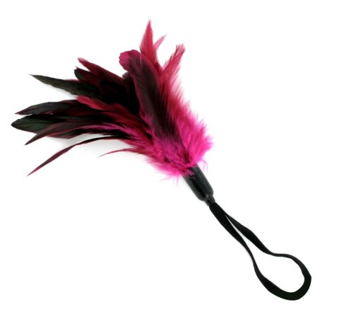 Sportsheets Pleasure Feather Rose - piorko ozdobne z pętelką rożowe Sportsheets Pleasure Feather Rose - piorko ozdobne z pętelką rożowe