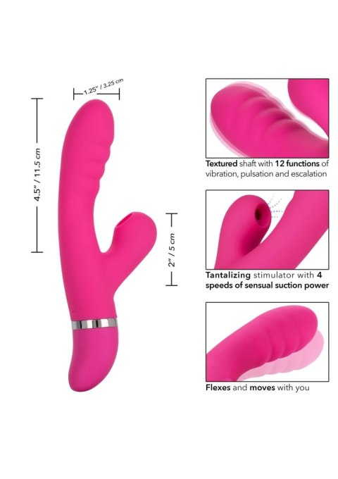 Foreplay Frenzy Pucker Pink Foreplay Frenzy Pucker Pink