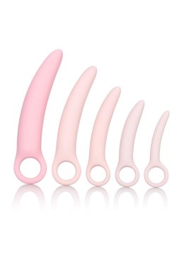 DelicaFit™ Pink Progression – Zestaw 5 Silikonowych Dilatorów