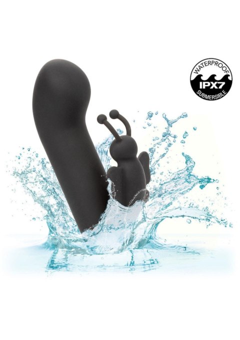 Raven Butterfly Black Raven Butterfly Black