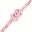 Rebellion Reign Rose Silky Bondage Rope Rebellion Reign Rose Silky Bondage Rope