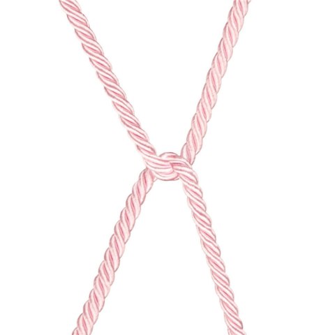 Rebellion Reign Rose Silky Bondage Rope Rebellion Reign Rose Silky Bondage Rope