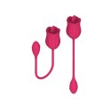 Stymulator - Licking massager with vibrating Egg USB 10 Functions Stymulator - Licking massager with vibrating Egg USB 10 Functions