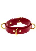 D-Ring Collar Deluxe Red D-Ring Collar Deluxe Red