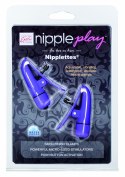 Nipplettes Purple Nipplettes Purple