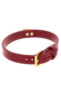 O-Ring Collar Red O-Ring Collar Red