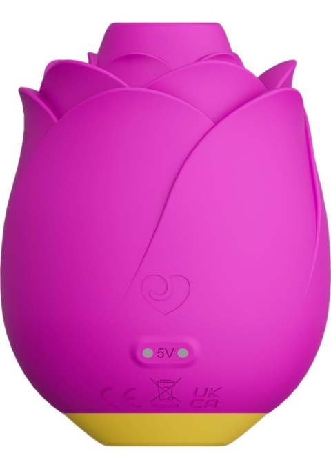 ROMP Rose - PINK ROMP Rose - PINK