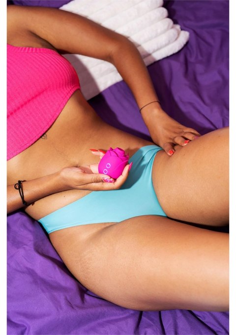 ROMP Rose - PINK ROMP Rose - PINK