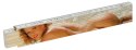 Folding Ruler "Girl" 2m Folding Ruler "Girl" 2m