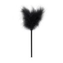 Secret Pleasure Chest - Black Secret Pleasure Chest - Black