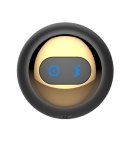 Rotating anal plug