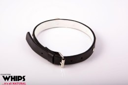 WHIPS – Obroża Damska, Wąska Biała (Skórzana, 2 cm)