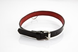 WHIPS – Obroża Damska, Cienka (Skórzana, 2 cm)