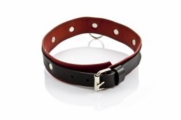 WHIPS – Obroża Damska, Średnia (Skórzana, 3 cm)