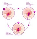 Kulki-Kegel Balls - Set Kulki-Kegel Balls - Set