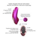 DREAMER - IRIDESCENT BERRY DREAMER - IRIDESCENT BERRY