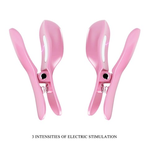 PRETTY LOVE - Surprise Box Pink, 12 vibration functions 3 electric shock functions PRETTY LOVE - Surprise Box Pink, 12 vibration functions 3 electric shock functions