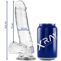 XRAY Model Clear żelowy 18,5 cm transparentny z kulkami, przyssawka X RAY