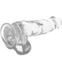 XRAY Model Clear żelowy 18,5 cm transparentny z kulkami, przyssawka X RAY