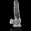 XRAY Model Clear żelowy 18,5 cm transparentny z kulkami, przyssawka X RAY