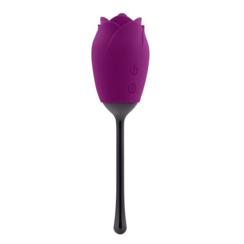 Playboy™ Pleasure Petal – Silikonowy Masażer z Ruchomą Główką | 9 Trybów | USB | Wodoodporny Playboy™ Pleasure Petal – Silikonowy Masażer z Ruchomą Główką | 9 Trybów | USB | Wodoodporny