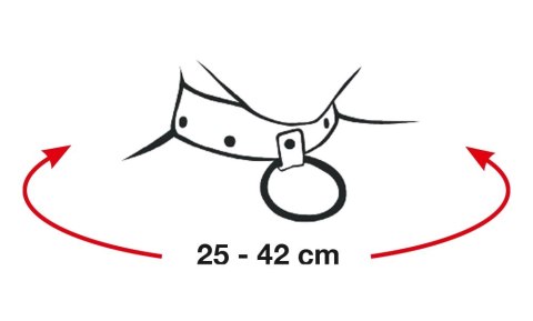 Bad Kitty Czarna Błyszcząca Obroża Anatomiczna Regulowana 25-42cm Bad Kitty Bad Kitty Czarna Błyszcząca Obroża Anatomiczna Regulowana 25-42cm Bad Kitty