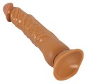 You2Toys Latin Lover elastyczny model intymny z przyssawką 23 cm You2Toys