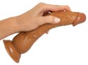 You2Toys Latin Lover elastyczny model intymny z przyssawką 23 cm You2Toys