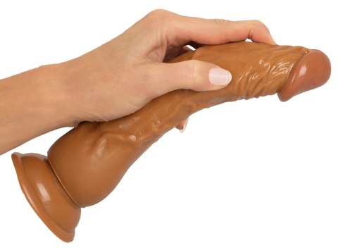 You2Toys Latin Lover elastyczny model intymny z przyssawką 23 cm You2Toys You2Toys Latin Lover elastyczny model intymny z przyssawką 23 cm You2Toys