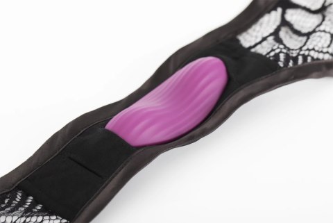SVAKOM Edeny Violet - Stymulator Aplikacja, Ergonomiczny, Wodoodporny Svakom SVAKOM Edeny Violet - Stymulator Aplikacja, Ergonomiczny, Wodoodporny Svakom