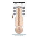 Fleshjack Boys Griffin Barrows Cake anatomiczny model SuperSkin Fleshlight