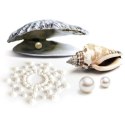 Bijoux Indiscrets Mimi Pearl ozdobna biżuteria samoprzylepna na ciało Bijoux Indiscrets