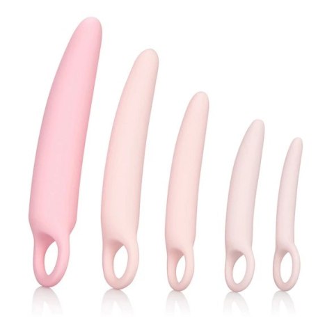 CalExotics Inspire Silicone Dilator Zestaw 5 Rozmiarow Rożowy Inspire CalExotics Inspire Silicone Dilator Zestaw 5 Rozmiarow Rożowy Inspire