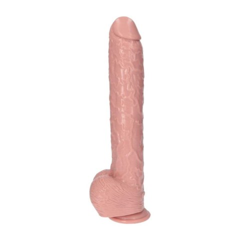 Italian Cock™ 15.5'' Flesh | Gigantyczne Realistyczne Dildo z Przyssawką Italian Cock™ 15.5'' Flesh | Gigantyczne Realistyczne Dildo z Przyssawką