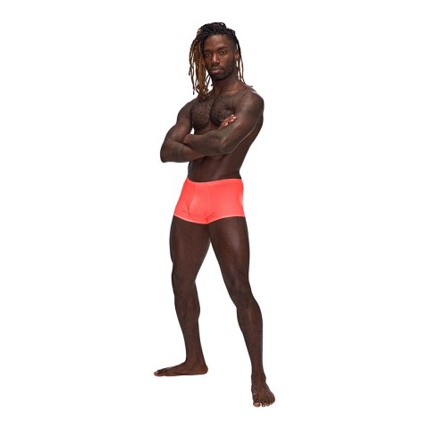 Male Power Barely There mini szorty XL niskie wycięcie anatomiczne Male Power Male Power Barely There mini szorty XL niskie wycięcie anatomiczne Male Power