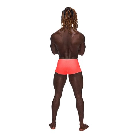 Male Power Barely There mini szorty XL niskie wycięcie anatomiczne Male Power Male Power Barely There mini szorty XL niskie wycięcie anatomiczne Male Power