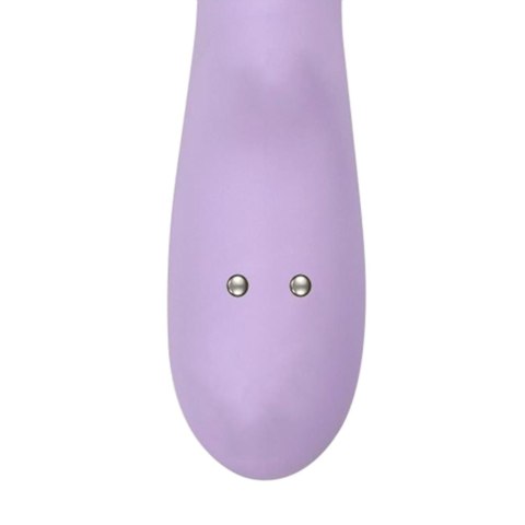 Bright Purple Bright Purple