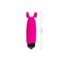 Lapin Coquin Lapin Coquin