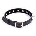 Obroża z kolcami Collar With Spikes Obroża z kolcami Collar With Spikes