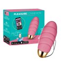 Pleasure Connexion Rose